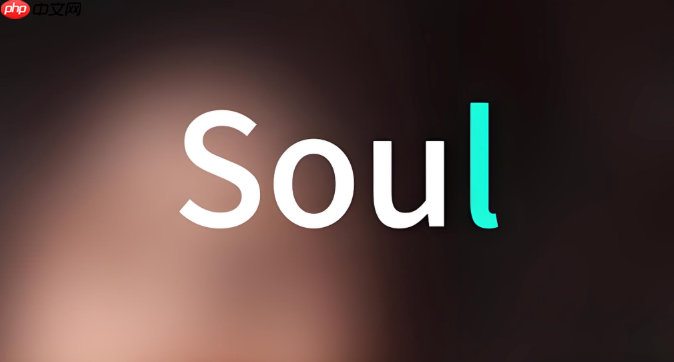 soul的瞬间可以只对一个人可见吗_soul瞬间单人可见设置