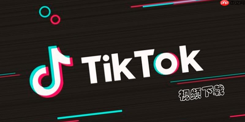 TikTok视频无法保存怎么办 TikTok视频保存异常修复方法