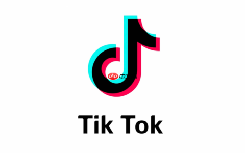 TikTok视频播放无声音怎么办 TikTok音频播放修复方法