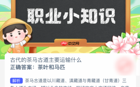 古代的茶马古道主要运输什么