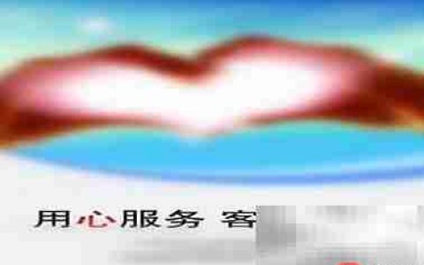 打造高效售后团队的秘诀