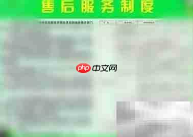 打造高效售后团队的秘诀