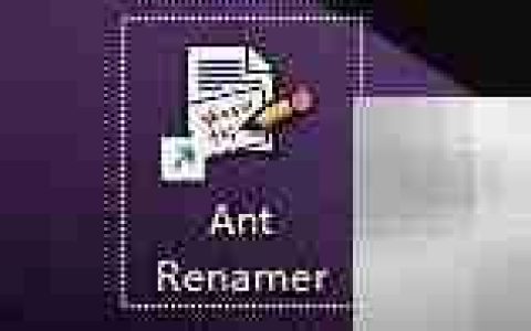 Ant Renamer工具栏图标更换技巧