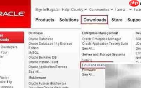 Oracle Linux 下载指南