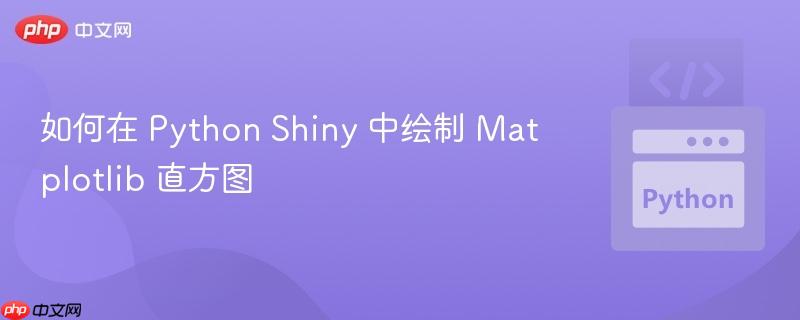 如何在 python shiny 中绘制 matplotlib 直方图
