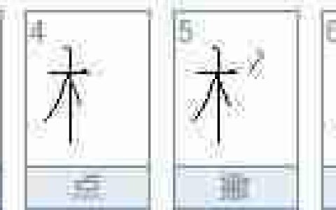 路柏沅的柏字怎么读