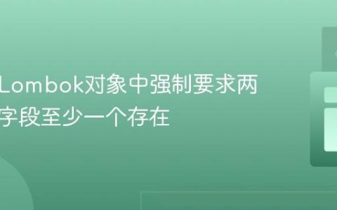 如何在Lombok对象中强制要求两个可空字段至少一个存在