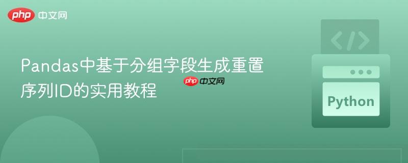 Pandas中基于分组字段生成重置序列ID的实用教程