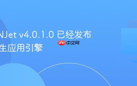 OpenNJet v4.0.1.0 已经发布，云原生应用引擎
