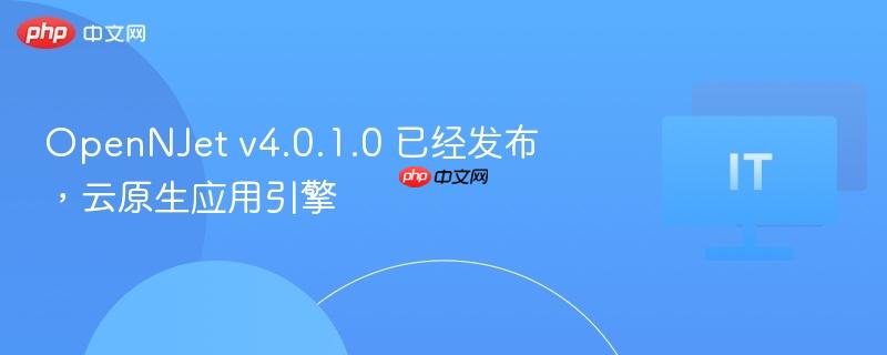OpenNJet v4.0.1.0 已经发布,云原生应用引擎