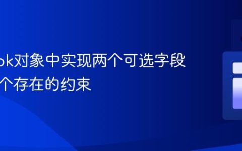 Lombok对象中实现两个可选字段至少一个存在的约束
