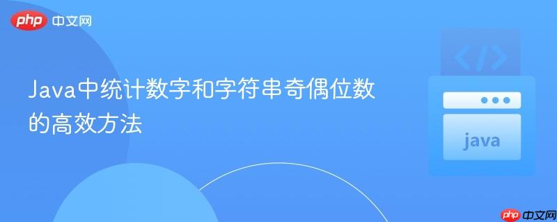 Java中统计数字和字符串奇偶位数的高效方法