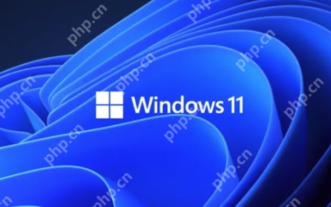Win11第三方工具Flyoobe遭黑客篡改：伪造官网植入木马