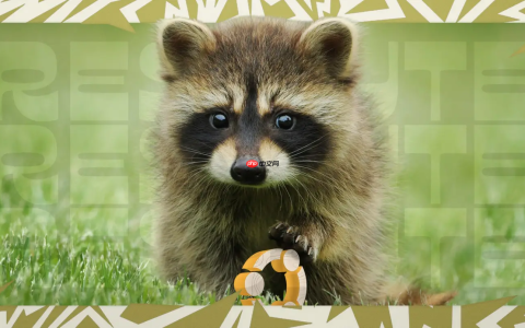 Ubuntu 26.04 LTS 发布日程公布，代号“Resolute Raccoon”