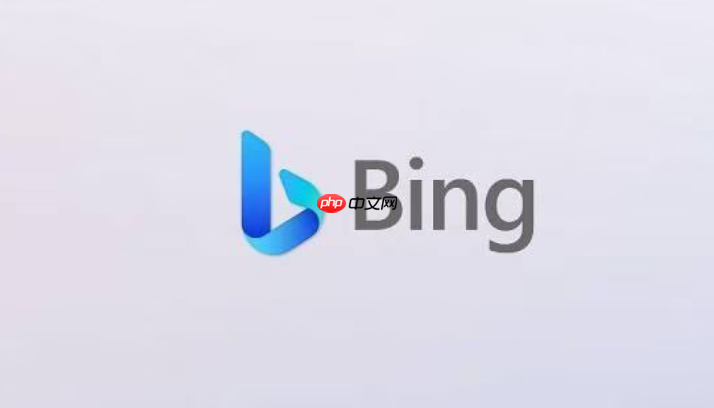 必应bing国际版官网入口 必应国际搜索网页访问地址