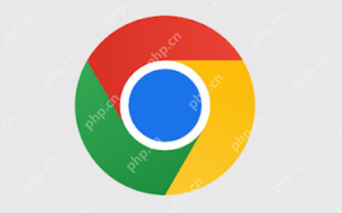 google浏览器网页入口 Google浏览器在线网页地址