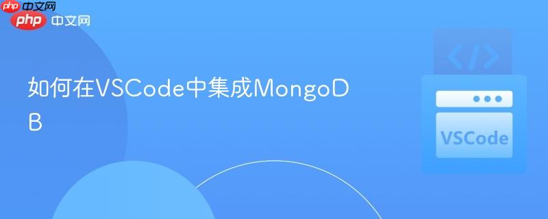 如何在VSCode中集成MongoDB