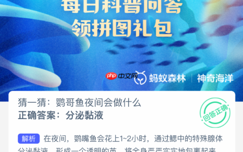 猜一猜鹦哥鱼夜间会做什么