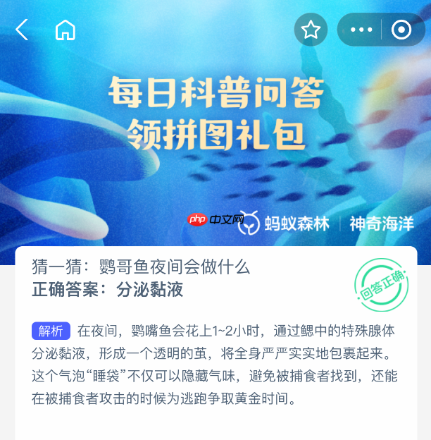猜一猜鹦哥鱼夜间会做什么