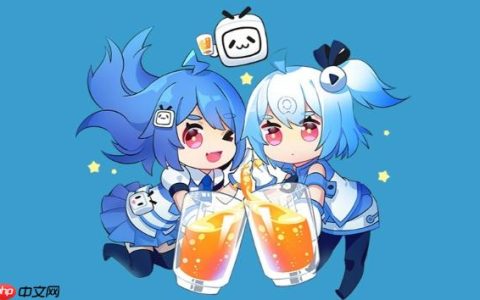 b站怎么搜索up主_b站UP主搜索方法