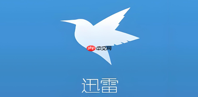 迅雷手机版下载的文件在哪里_迅雷手机端下载文件存放位置