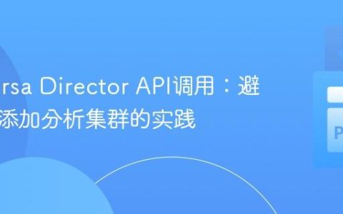 优化Versa Director API调用：避免重复添加分析集群的实践