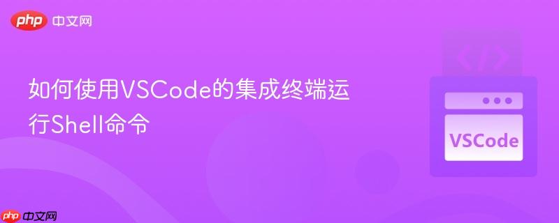 如何使用VSCode的集成终端运行Shell命令