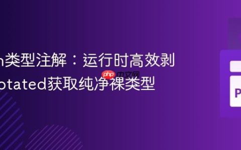 Python类型注解：运行时高效剥离Annotated获取纯净裸类型