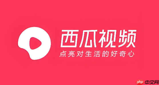 西瓜视频怎么看自己的IP归属地_西瓜视频IP归属地查询方法