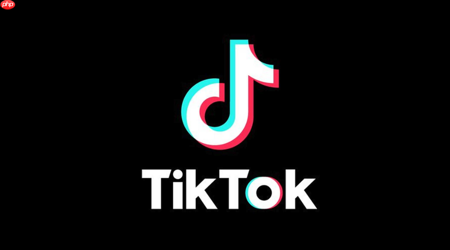 海外版TikTok网页版入口_海外版TikTok网页版入口进入在线观看