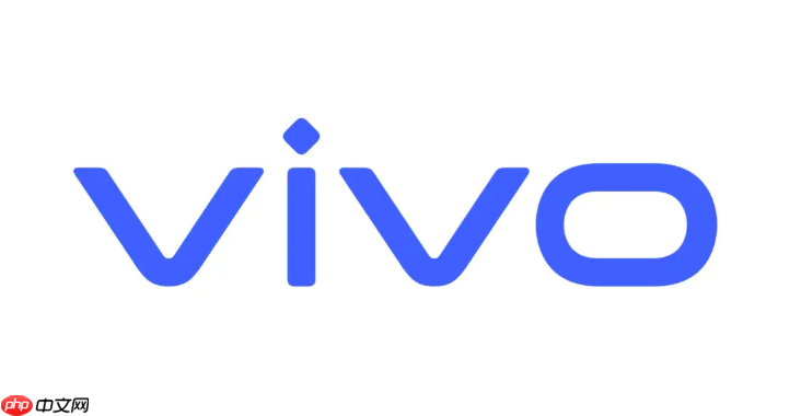 vivo手机的简易模式如何开启和退出_vivo简易模式操作方法