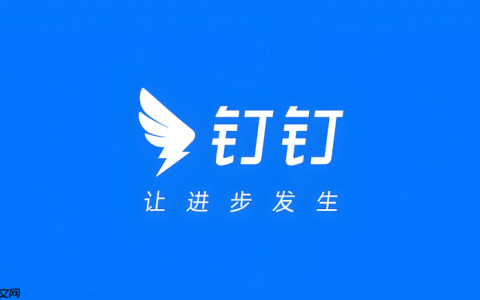 钉钉视频通话无法切换摄像头怎么办 钉钉视频摄像头切换修复方法