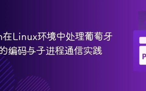 Python在Linux环境中处理葡萄牙语字符的编码与子进程通信实践