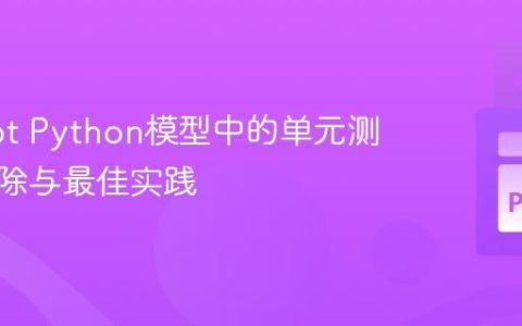管理dbt Python模型中的单元测试：排除与最佳实践