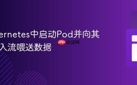 在Kubernetes中启动Pod并向其标准输入流喂送数据