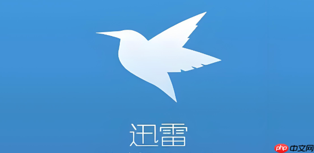 迅雷官网网页版登录 迅雷Web版在线进入
