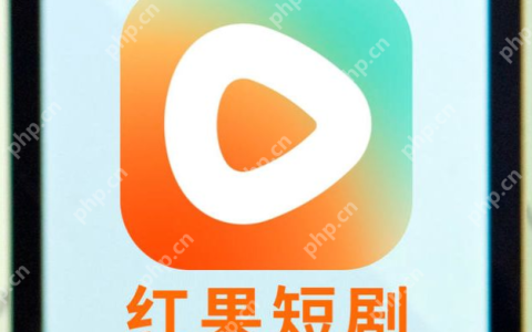 红果免费短剧入口 红果短剧官网访问入口与官方链接