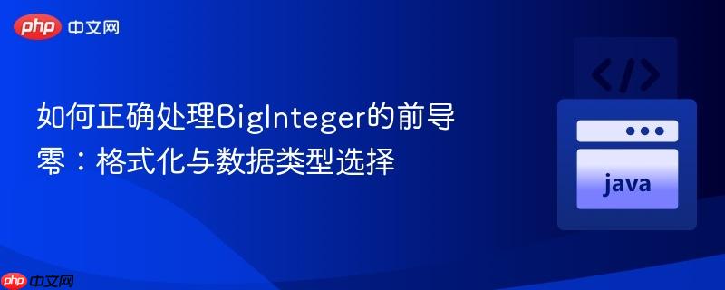 如何正确处理BigInteger的前导零：格式化与数据类型选择