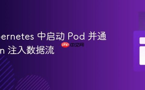 在 Kubernetes 中启动 Pod 并通过 stdin 注入数据流