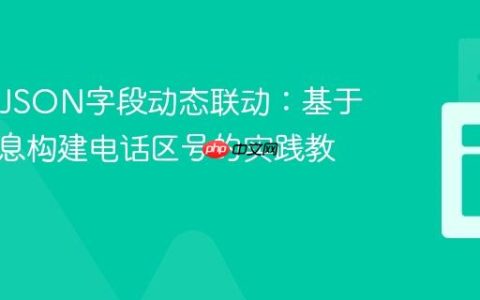 Java中JSON字段动态联动：基于国家信息构建电话区号的实践教程