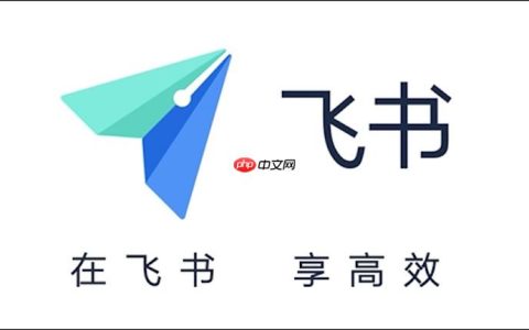 飞书审批消息无法接收怎么办 飞书审批提醒修复与操作技巧