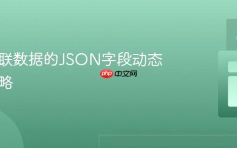 基于关联数据的JSON字段动态生成策略