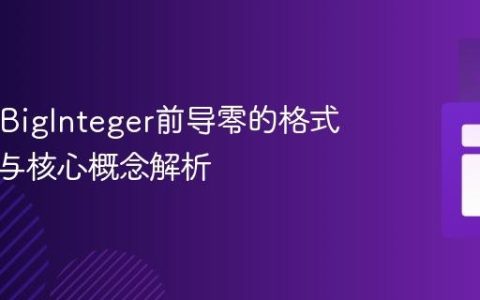 Java中BigInteger前导零的格式化处理与核心概念解析