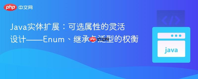Java实体扩展:可选属性的灵活设计——Enum、继承与泛型的权衡