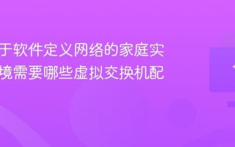 构建基于软件定义网络的家庭实验室环境需要哪些虚拟交换机配置？