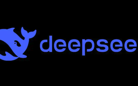 DeepSeek AI互动聊天入口在哪 DeepSeek聊天入口2026