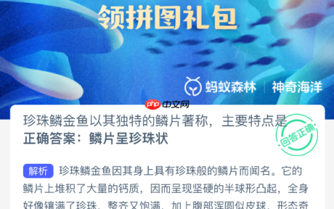 珍珠鳞金鱼以其独特的鳞片著称主要特点是