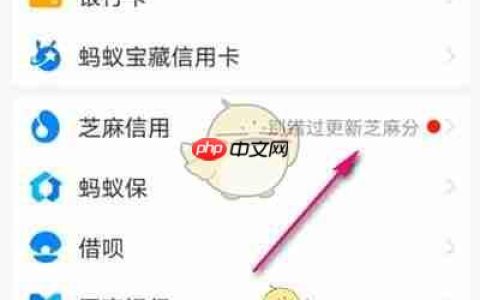 《支付宝》申请芝麻签证流程