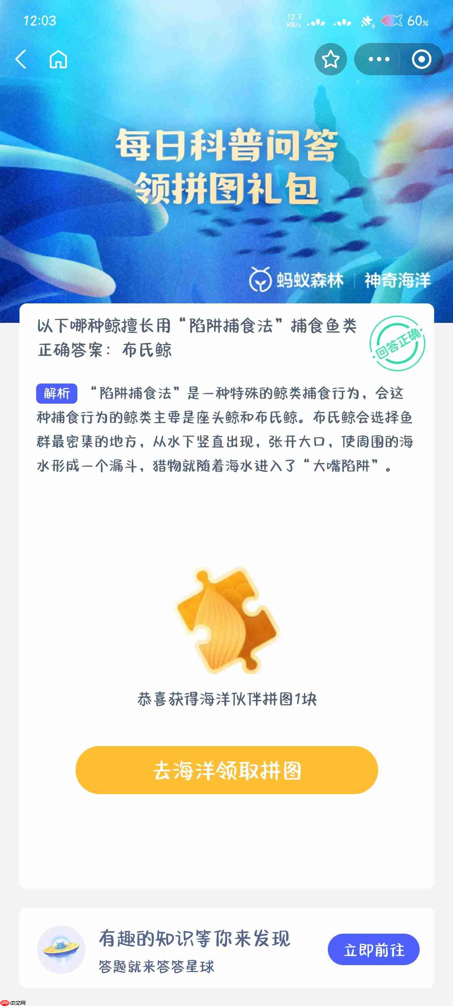 以下哪种鲸擅长用陷阱捕食法捕食鱼类
