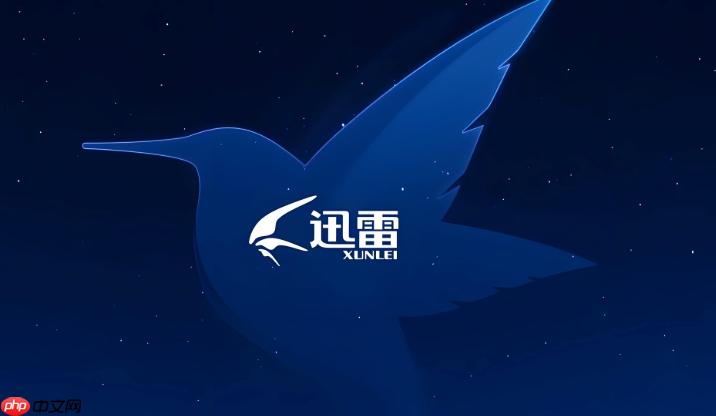 迅雷网盘最新官方主页地址 迅雷网盘官网入口直达平台链接